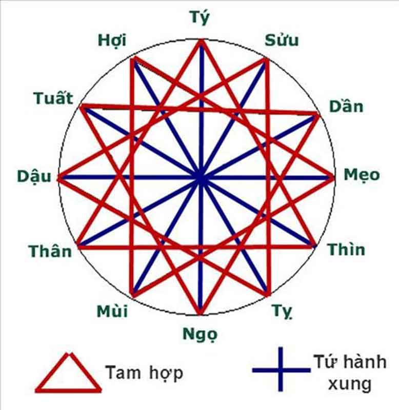 xem-tuoi-lam-nha-azco1